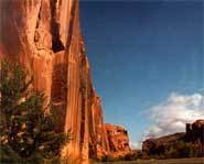 Aron Ralston was climbing in Southeastern Utah when a boulder fell on his arm and pinned it.