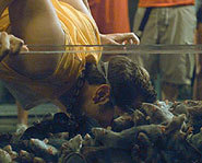 Couples face off in one of the grossest Fear Factor stunts.