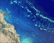 This pic of the reef was taken from space!
