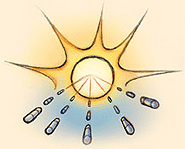 The sun is the most important source of vitamin D.