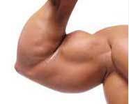 Peopel take anabolic steroids to try and get big muscles.