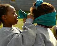 Maidens used to blindfold each other and touch fences.
