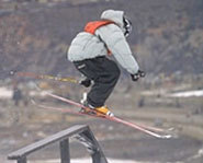 Picture of a skier at a slopestyle event at the Winter X Games.