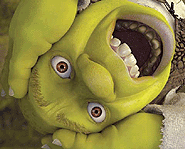 Shrek, Fiona and Donkey are back for more fun in Shrek 2.