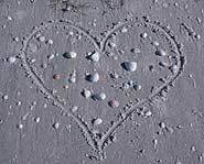 Valentine's Day is celebrated on February 14th.