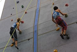 Picture of rock climbers climbing on a climbing wall.