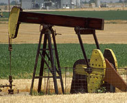 Oil is drilled in fields around the world.