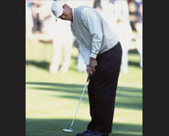 Photo of Tiger Woods.
