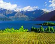 Find out more about the home of the Lord of the Rings movies, New Zealand.