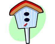Learn how to build your own bird house with these crafty tips!