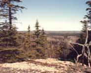 Hiking is a great way to see the outdoors and get some exercise.