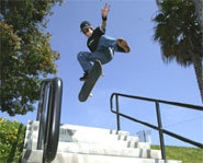 Picture of skateboarder, Ryan Sheckler.