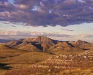 The Chihuahuan Desert covers parts of the US and Mexico.