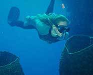 Tanya Streeter - World Record Free Diver