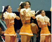 Cheerleaders yell cheers, wave pom poms and perform stunts.
