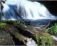 Freshwater Region