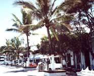 Looking for a cool vacation spot to go with your fam? Why not check out the beaches of Mexico?