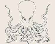 Hockey Fan Traditions Octopus on ice at Detroit Red Wings' Games