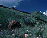 Find out more about the Pagan religion and modern day Wicca.