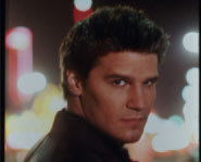 David Boreanaz - Angel.