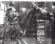 Urban legends - weird deaths.