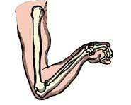 Hitting your funny bone isn't funny at all - it really hurts!