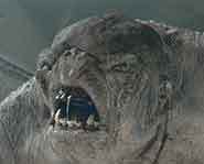 Lord of the Rings the movie.