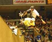 Tony Hawk Andy Macdonald Pro Skateboarders