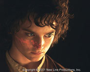 Elijah Wood stars as Frodo Baggins in The Lord of the Rings.