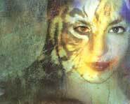 In the Forests of the Night book review: Risika is devoted to a tiger named Tora.