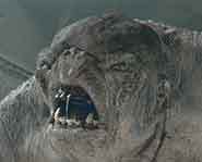 Lord of the Rings - the cave troll.