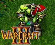 Warcraft 3 from Blizzard - read the PC game review here!