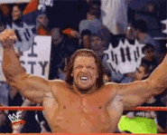 Triple H, also known as Hunter Hearst Helmsley, likes to finish off his opponents with nasty piledrivers.