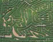 The Sea Monster Maze.