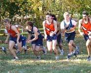 Quiz the Kidzworld Coach for advice on cross-country running, basketball drills, cheerleading tips, skateboarding tricks and other sports and fitness advice.