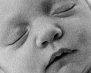Babies sleep and, therefore, dream more than teens and adults.