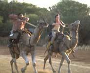 Jerry O'Connell and Anthony Anderson star in Kangaroo Jack.
