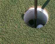 The hole in one is golf's ultimate shot.