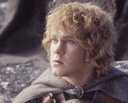 The Lord of the Rings swept the Oscars winning all 11 nominations including Best Picture of the Year and Best Director!