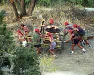 Samburu hauls the cart.