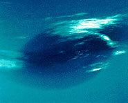 Neptune's dark spot is the size of earth.