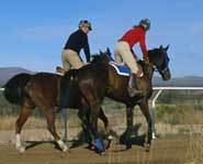 Horseback riding at the race track.