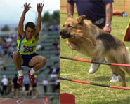 A dog and a human will try to outjump each other in Man vs. Beast 2.