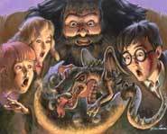 Oooohh.. It's Magic with the Harry Potter Trading Card Game!