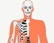 Your body does crazy things.
