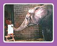 Some elephants love to paint.