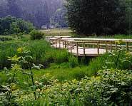 Catherine Berris - landscape architecture.