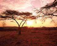 More than 800 languages are spoken in Africa.