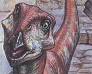Scaredy-saurus rex.