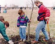 Will you be planting a tree on the last Friday in April for Arbor Day?